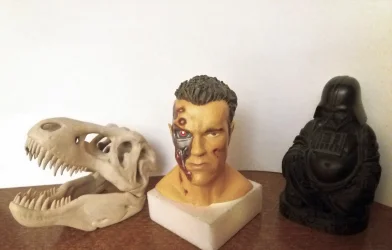 Terminator 1a.webp