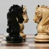 check.mate